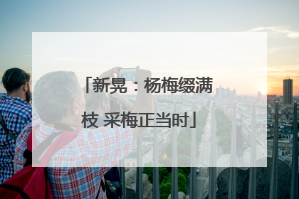 新晃：杨梅缀满枝 采梅正当时