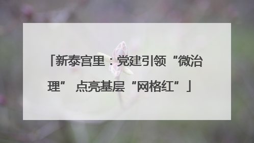 新泰宫里：党建引领“微治理” 点亮基层“网格红”