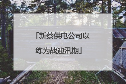 新蔡供电公司以练为战迎汛期