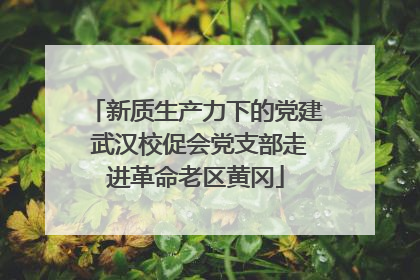 新质生产力下的党建 武汉校促会党支部走进革命老区黄冈
