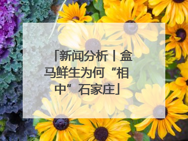 新闻分析丨盒马鲜生为何“相中”石家庄