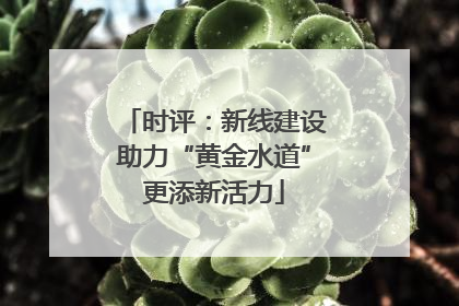 时评：新线建设助力“黄金水道”更添新活力