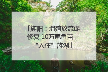 旌阳：增殖放流促修复 10万尾鱼苗“入住”旌湖