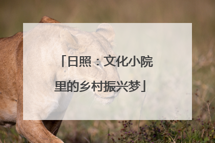 日照：文化小院里的乡村振兴梦