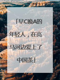 早C晚A的年轻人，在亮马河边爱上了中国茶