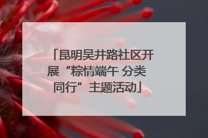 昆明吴井路社区开展“粽情端午 分类同行”主题活动