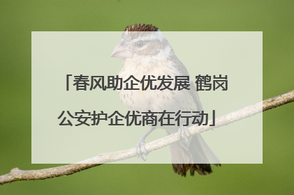 春风助企优发展 鹤岗公安护企优商在行动