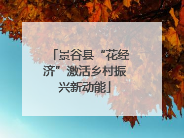 景谷县“花经济”激活乡村振兴新动能