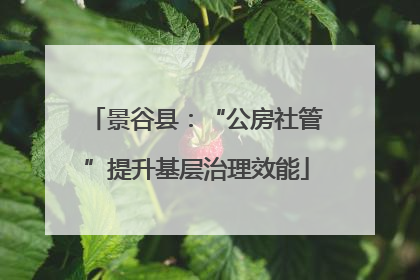 景谷县：“公房社管”提升基层治理效能