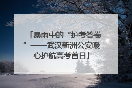 暴雨中的“护考答卷”——武汉新洲公安暖心护航高考首日