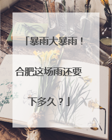 暴雨大暴雨！合肥这场雨还要下多久？