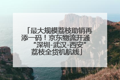 最大规模荔枝助销再添一码！京东物流开通“深圳-武汉-西安” 荔枝全货机航线