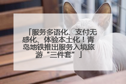服务多语化、支付无感化、体验本土化！青岛地铁推出服务入境旅游“三件套”