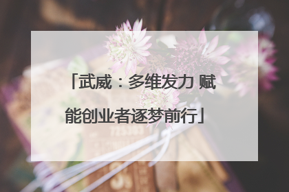 武威：多维发力 赋能创业者逐梦前行