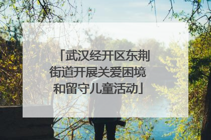 武汉经开区东荆街道开展关爱困境和留守儿童活动