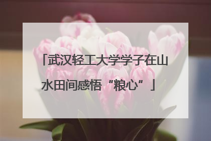 武汉轻工大学学子在山水田间感悟“粮心”