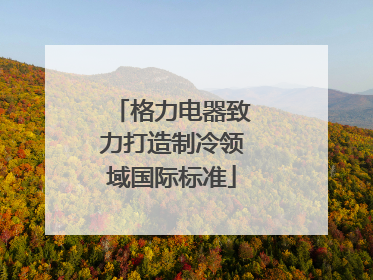 格力电器致力打造制冷领域国际标准