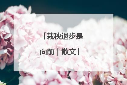 栽秧退步是向前｜散文