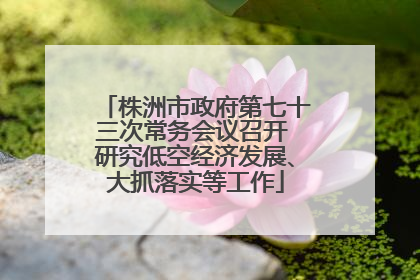 株洲市政府第七十三次常务会议召开 研究低空经济发展、大抓落实等工作