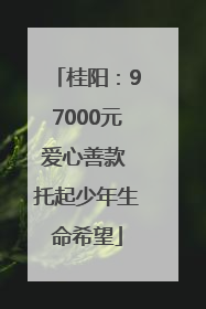 桂阳：97000元爱心善款 托起少年生命希望
