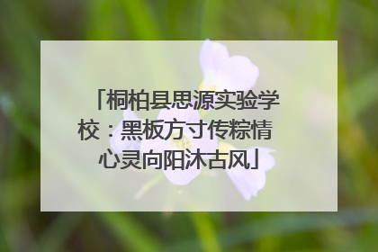 桐柏县思源实验学校：黑板方寸传粽情 心灵向阳沐古风