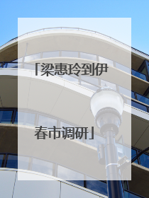 梁惠玲到伊春市调研