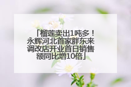 榴莲卖出1吨多！永辉河北首家胖东来调改店开业首日销售额同比增10倍