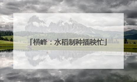 横峰：水稻制种插秧忙