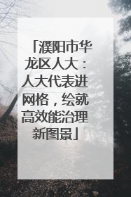 濮阳市华龙区人大：人大代表进网格，绘就高效能治理新图景