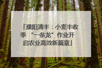 濮阳清丰：小麦丰收季 “一条龙”作业开启农业高效新篇章