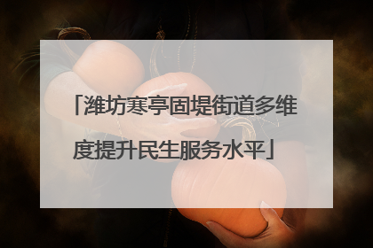 潍坊寒亭固堤街道多维度提升民生服务水平