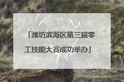潍坊滨海区第三届零工技能大赛成功举办