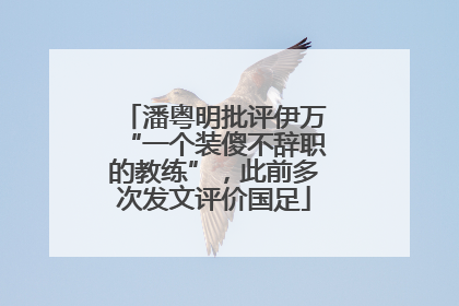 潘粤明批评伊万“一个装傻不辞职的教练”，此前多次发文评价国足