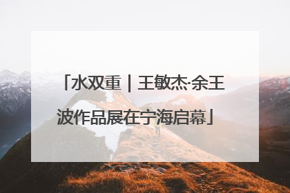 水双重｜王敏杰·余王波作品展在宁海启幕