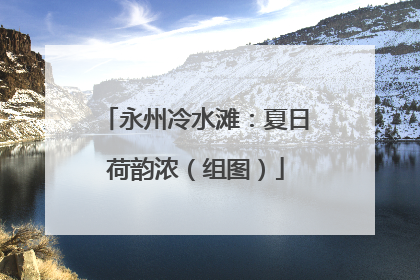 永州冷水滩：夏日荷韵浓（组图）