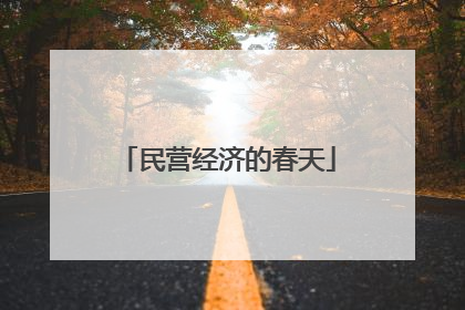 民营经济的春天