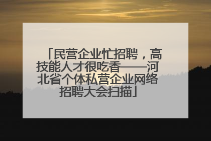 民营企业忙招聘，高技能人才很吃香——河北省个体私营企业网络招聘大会扫描