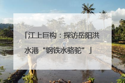 江上巨构：探访岳阳洪水港“钢铁水骆驼”