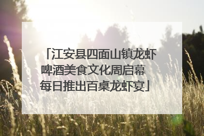 江安县四面山镇龙虾啤酒美食文化周启幕 每日推出百桌龙虾宴