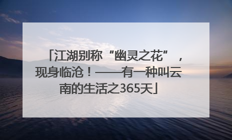 江湖别称“幽灵之花”，现身临沧！——有一种叫云南的生活之365天