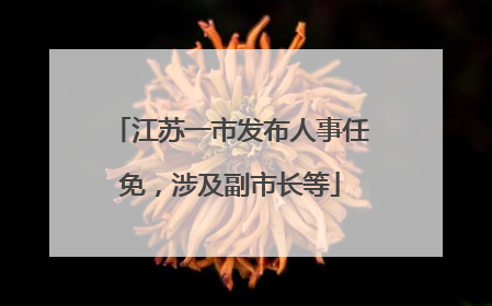 江苏一市发布人事任免，涉及副市长等