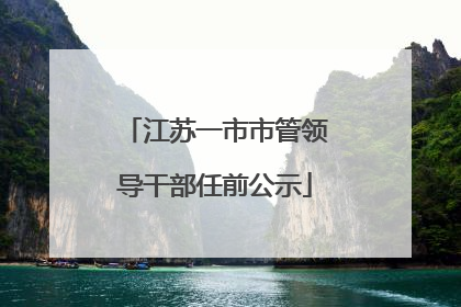 江苏一市市管领导干部任前公示