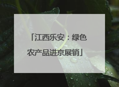 江西乐安：绿色农产品进京展销