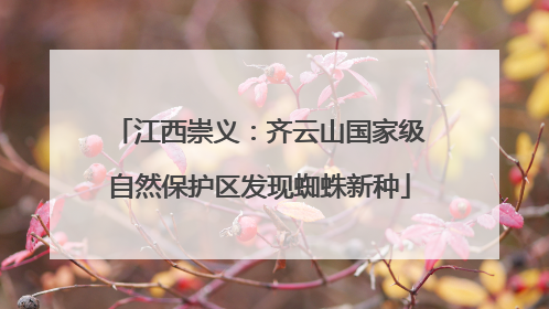 江西崇义：齐云山国家级自然保护区发现蜘蛛新种