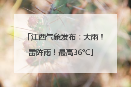 江西气象发布：大雨！雷阵雨！最高36°C