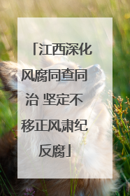 江西深化风腐同查同治 坚定不移正风肃纪反腐