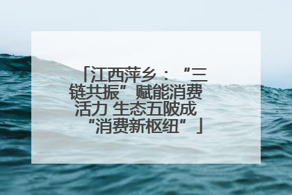 江西萍乡：“三链共振”赋能消费活力 生态五陂成“消费新枢纽”