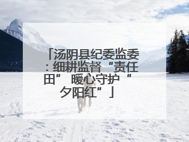 汤阴县纪委监委：细耕监督“责任田” 暖心守护“夕阳红”