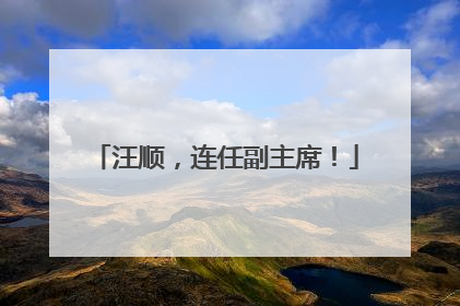 汪顺，连任副主席！