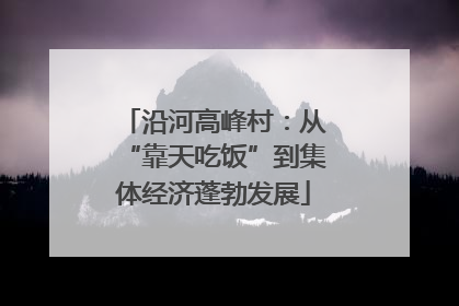 沿河高峰村：从“靠天吃饭”到集体经济蓬勃发展
